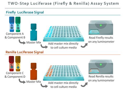 luciferace assay|luciferase assay buffer.